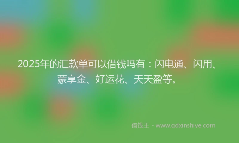 2025年的汇款单可以借钱吗有：闪电通、闪用、蒙享金、好运花、天天盈等。