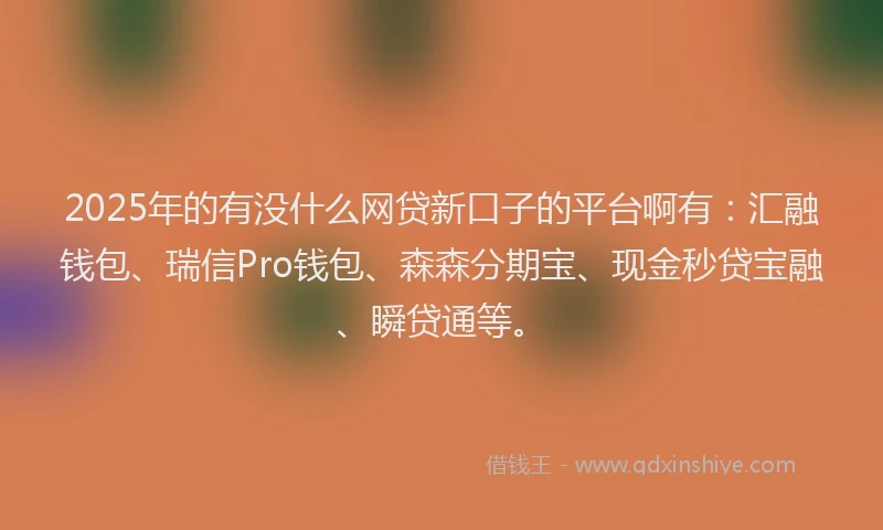 2025年的有没什么网贷新口子的平台啊有：汇融钱包、瑞信Pro钱包、森森分期宝、现金秒贷宝融、瞬贷通等。