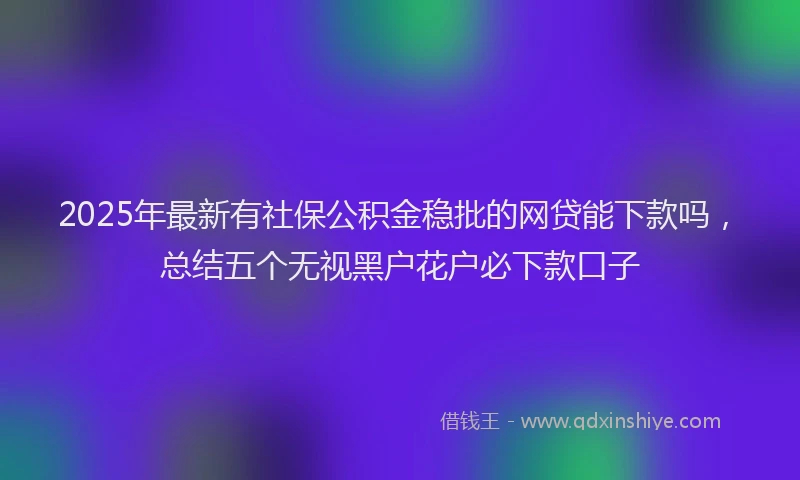 2025年最新有社保公积金稳批的网贷能下款吗，总结五个无视黑户花户必下款口子