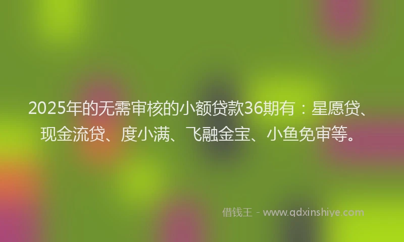 2025年的无需审核的小额贷款36期有：星愿贷、现金流贷、度小满、飞融金宝、小鱼免审等。