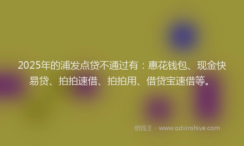 2025年的浦发点贷不通过有：惠花钱包、现金快易贷、拍拍速借、拍拍用、借贷宝速借等。