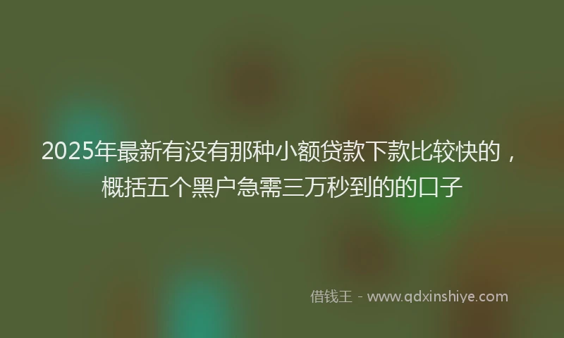 2025年最新有没有那种小额贷款下款比较快的，概括五个黑户急需三万秒到的的口子