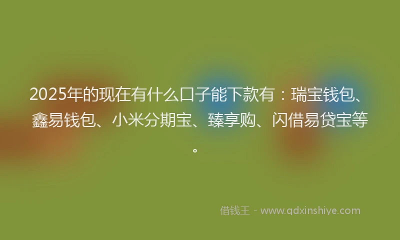 2025年的现在有什么口子能下款有：瑞宝钱包、鑫易钱包、小米分期宝、臻享购、闪借易贷宝等。