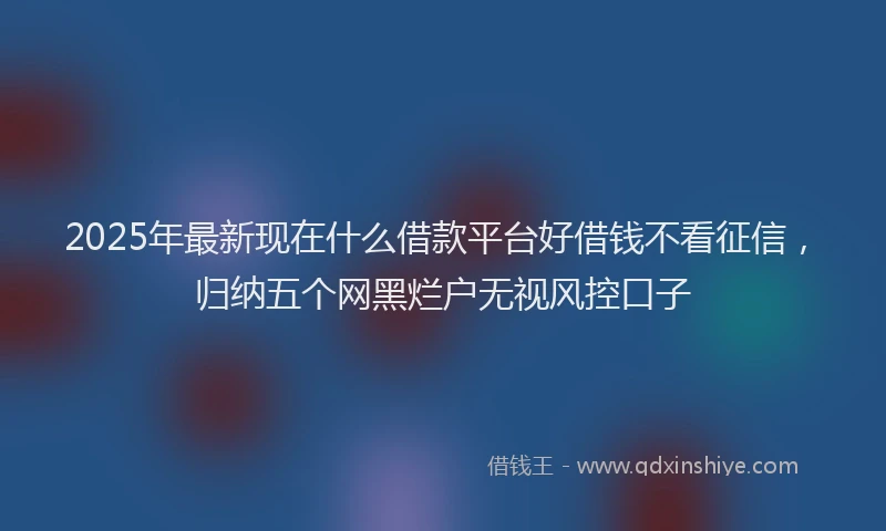 2025年最新现在什么借款平台好借钱不看征信，归纳五个网黑烂户无视风控口子