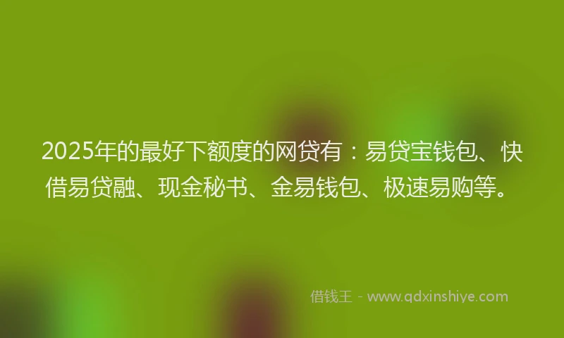 2025年的最好下额度的网贷有：易贷宝钱包、快借易贷融、现金秘书、金易钱包、极速易购等。