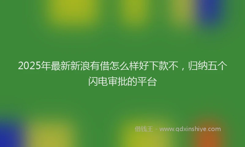 2025年最新新浪有借怎么样好下款不，归纳五个闪电审批的平台