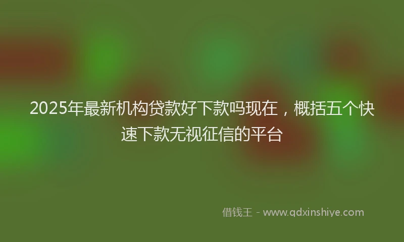 2025年最新机构贷款好下款吗现在，概括五个快速下款无视征信的平台