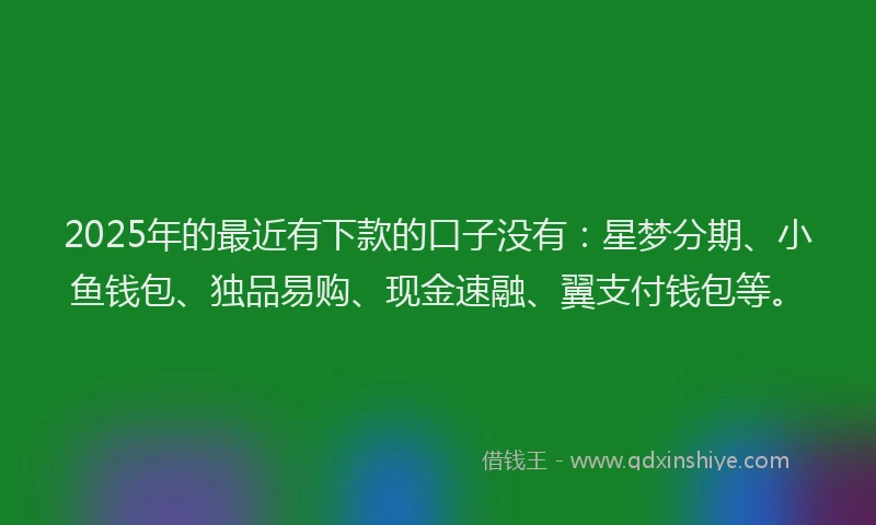 2025年的最近有下款的口子没有：星梦分期、小鱼钱包、独品易购、现金速融、翼支付钱包等。