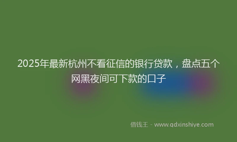 2025年最新杭州不看征信的银行贷款，盘点五个网黑夜间可下款的口子