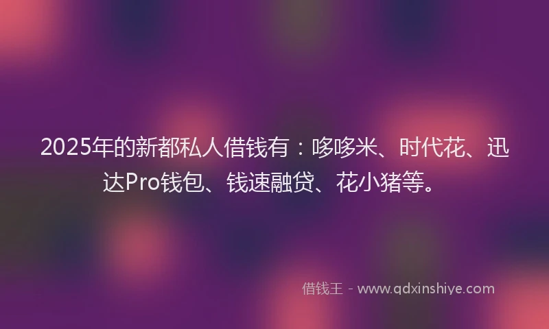 2025年的新都私人借钱有：哆哆米、时代花、迅达Pro钱包、钱速融贷、花小猪等。