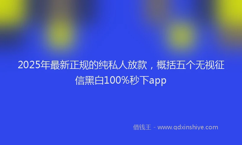 2025年最新正规的纯私人放款，概括五个无视征信黑白100%秒下app