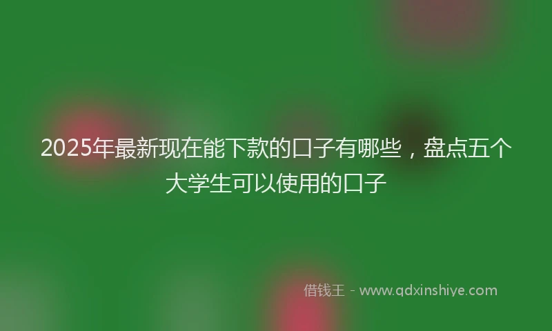 2025年最新现在能下款的口子有哪些，盘点五个大学生可以使用的口子