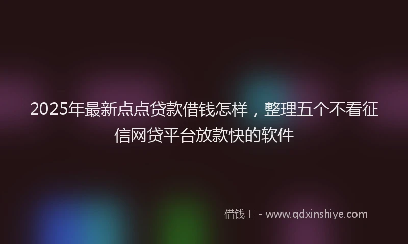 2025年最新点点贷款借钱怎样，整理五个不看征信网贷平台放款快的软件