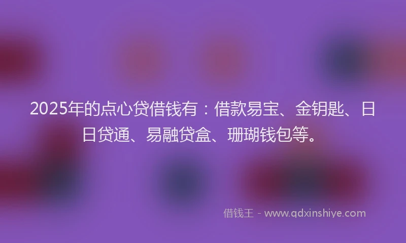 2025年的点心贷借钱有：借款易宝、金钥匙、日日贷通、易融贷盒、珊瑚钱包等。