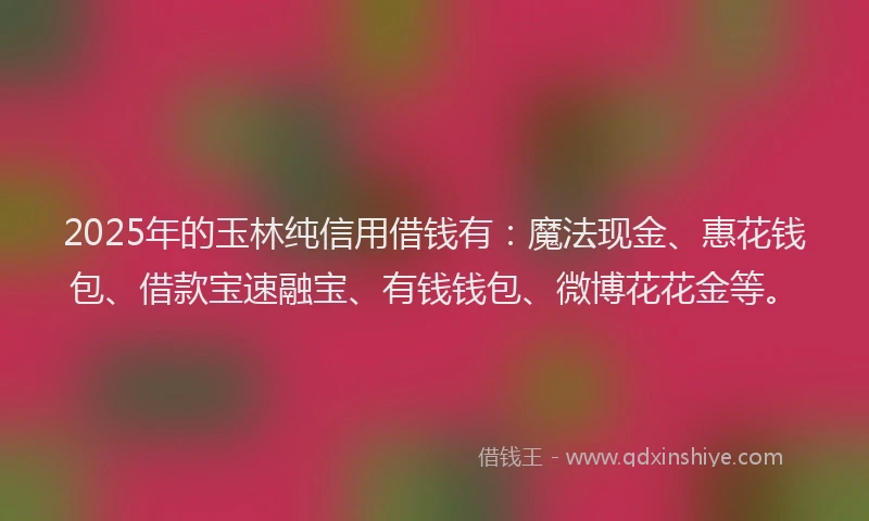 2025年的玉林纯信用借钱有：魔法现金、惠花钱包、借款宝速融宝、有钱钱包、微博花花金等。