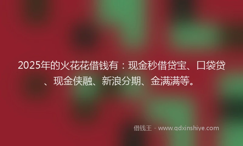 2025年的火花花借钱有：现金秒借贷宝、口袋贷、现金侠融、新浪分期、金满满等。