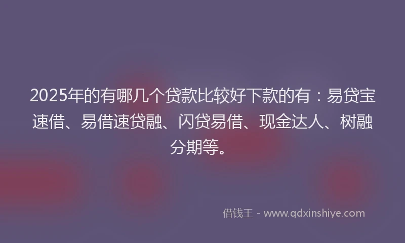 2025年的有哪几个贷款比较好下款的有：易贷宝速借、易借速贷融、闪贷易借、现金达人、树融分期等。