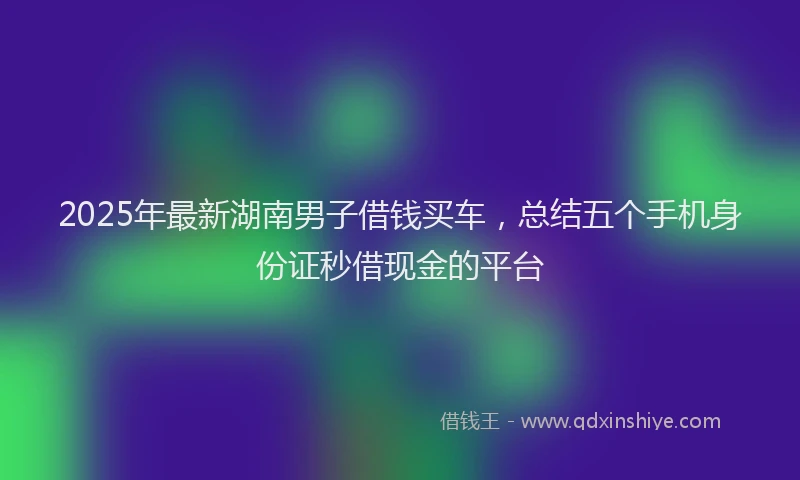 2025年最新湖南男子借钱买车，总结五个手机身份证秒借现金的平台