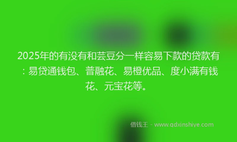 2025年的有没有和芸豆分一样容易下款的贷款有：易贷通钱包、普融花、易橙优品、度小满有钱花、元宝花等。