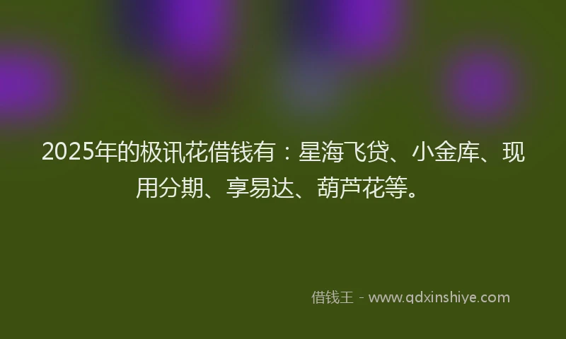 2025年的极讯花借钱有：星海飞贷、小金库、现用分期、享易达、葫芦花等。