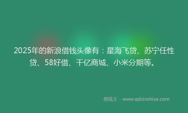 2025年的新浪借钱头像有：星海飞贷、苏宁任性贷、58好借、千亿商城、小米分期等。