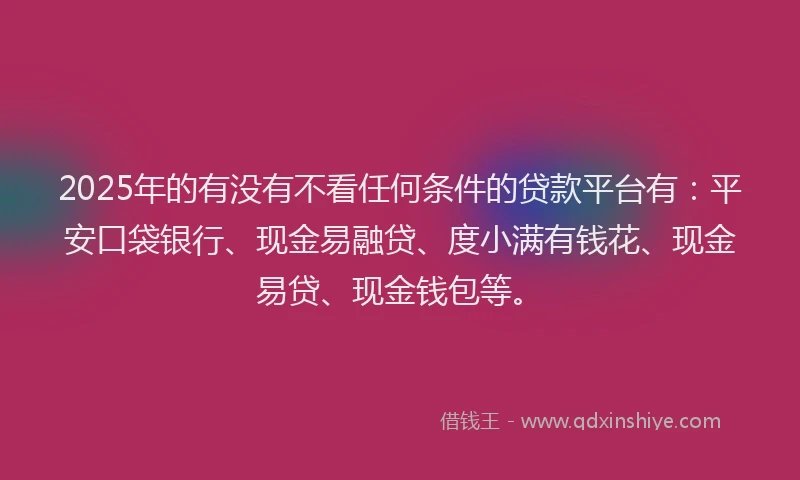 2025年的有没有不看任何条件的贷款平台有：平安口袋银行、现金易融贷、度小满有钱花、现金易贷、现金钱包等。