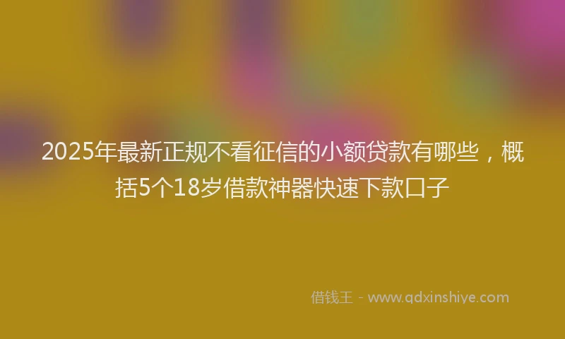 2025年最新正规不看征信的小额贷款有哪些，概括5个18岁借款神器快速下款口子