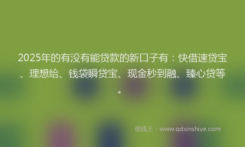 2025年的有没有能贷款的新口子有：快借速贷宝、理想给、钱袋瞬贷宝、现金秒到融、臻心贷等。