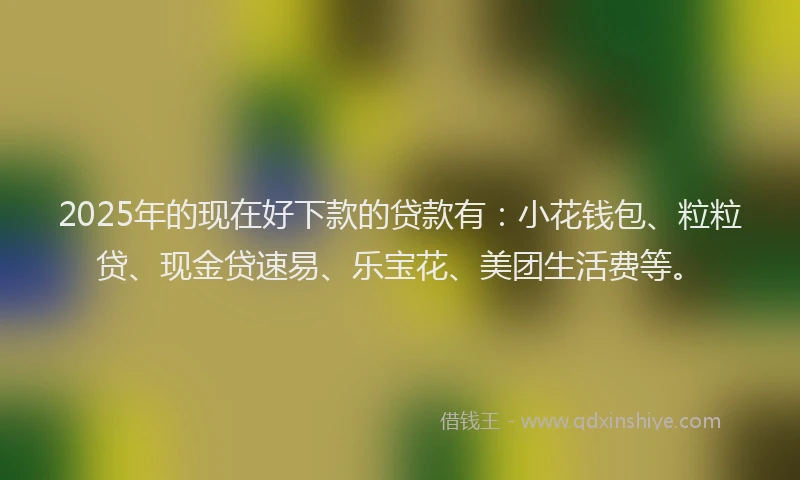 2025年的现在好下款的贷款有：小花钱包、粒粒贷、现金贷速易、乐宝花、美团生活费等。