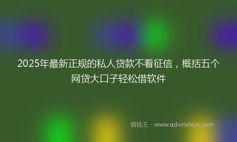 2025年最新正规的私人贷款不看征信，概括五个网贷大口子轻松借软件