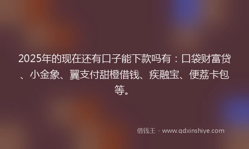 2025年的现在还有口子能下款吗有：口袋财富贷、小金象、翼支付甜橙借钱、疾融宝、便荔卡包等。