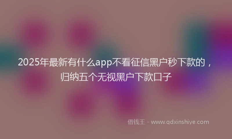 2025年最新有什么app不看征信黑户秒下款的，归纳五个无视黑户下款口子