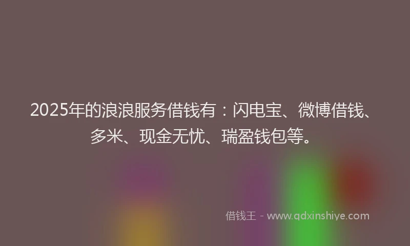 2025年的浪浪服务借钱有：闪电宝、微博借钱、多米、现金无忧、瑞盈钱包等。