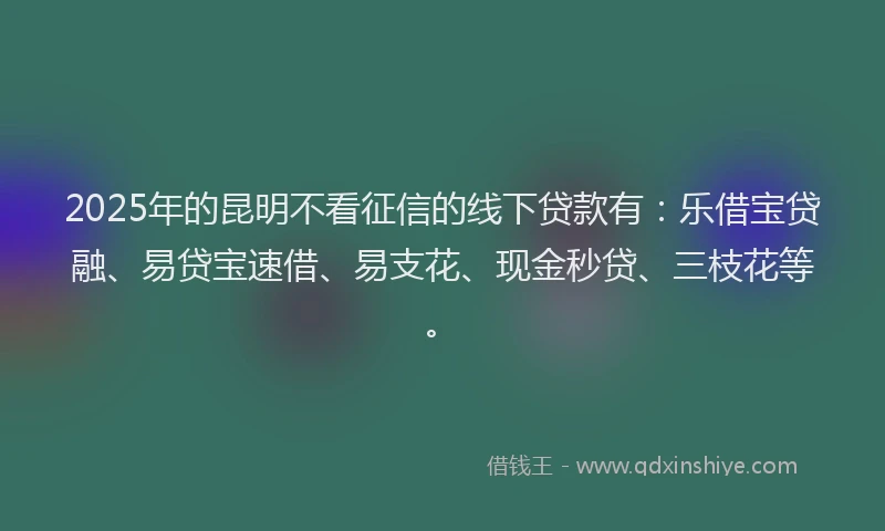 2025年的昆明不看征信的线下贷款有：乐借宝贷融、易贷宝速借、易支花、现金秒贷、三枝花等。