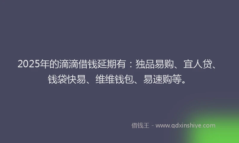 2025年的滴滴借钱延期有：独品易购、宜人贷、钱袋快易、维维钱包、易速购等。