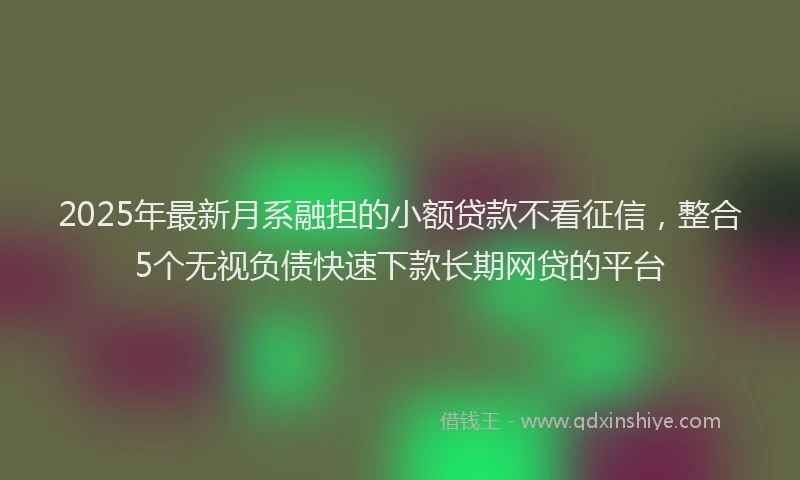 2025年最新月系融担的小额贷款不看征信，整合5个无视负债快速下款长期网贷的平台