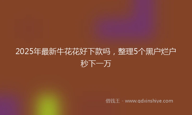 2025年最新牛花花好下款吗，整理5个黑户烂户秒下一万