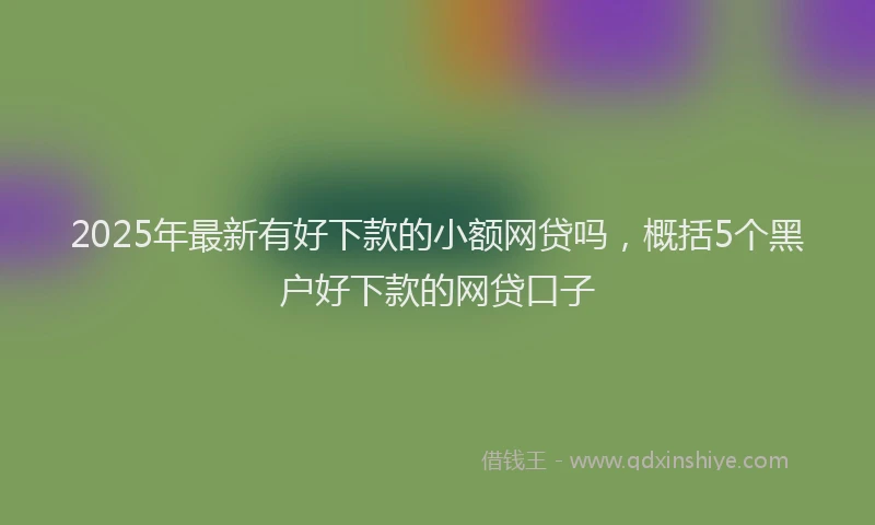 2025年最新有好下款的小额网贷吗，概括5个黑户好下款的网贷口子