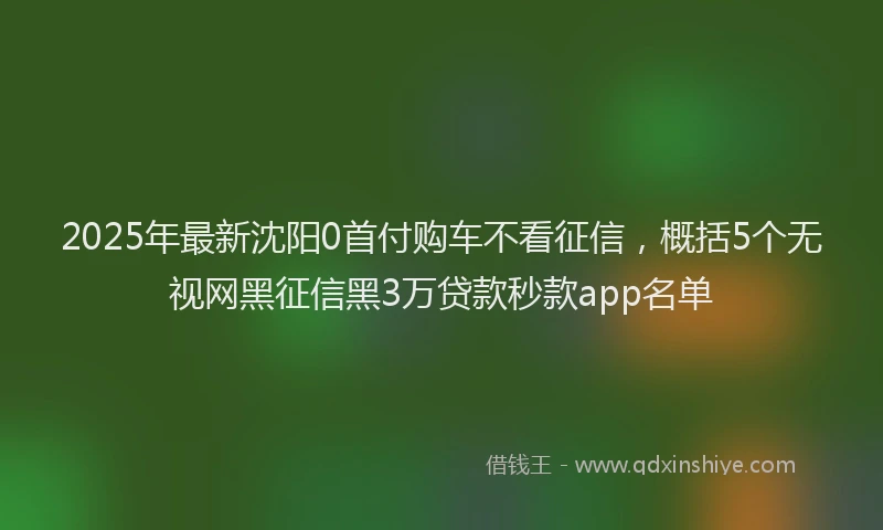 2025年最新沈阳0首付购车不看征信，概括5个无视网黑征信黑3万贷款秒款app名单
