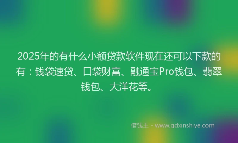 2025年的有什么小额贷款软件现在还可以下款的有：钱袋速贷、口袋财富、融通宝Pro钱包、翡翠钱包、大洋花等。