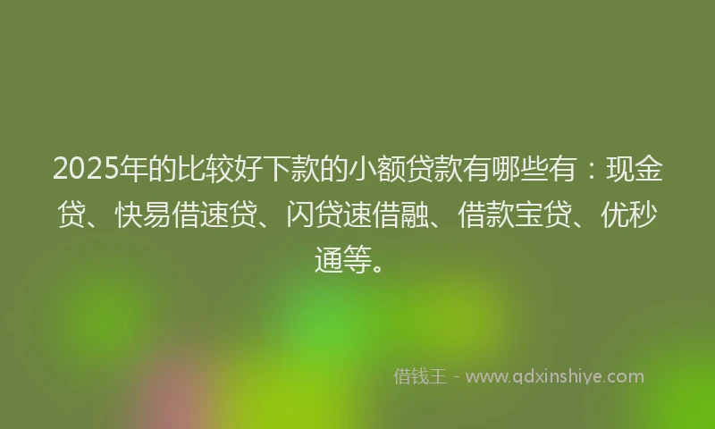 2025年的比较好下款的小额贷款有哪些有：现金贷、快易借速贷、闪贷速借融、借款宝贷、优秒通等。