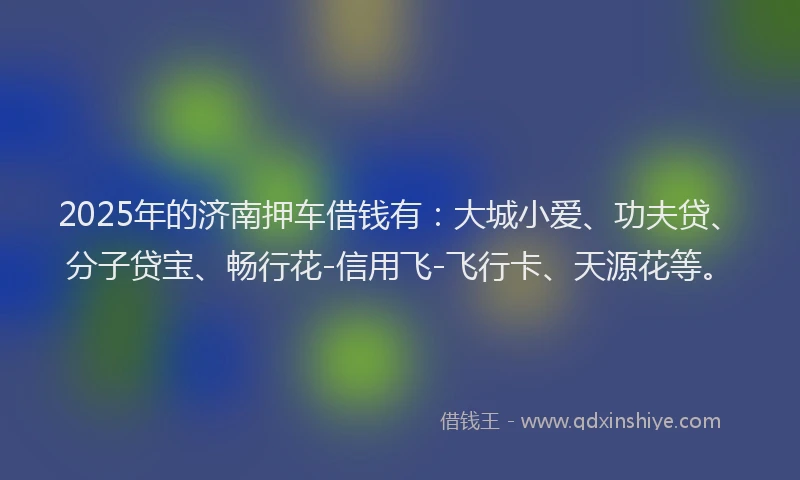 2025年的济南押车借钱有：大城小爱、功夫贷、分子贷宝、畅行花-信用飞-飞行卡、天源花等。