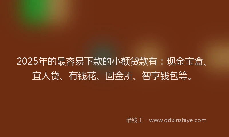 2025年的最容易下款的小额贷款有：现金宝盒、宜人贷、有钱花、固金所、智享钱包等。