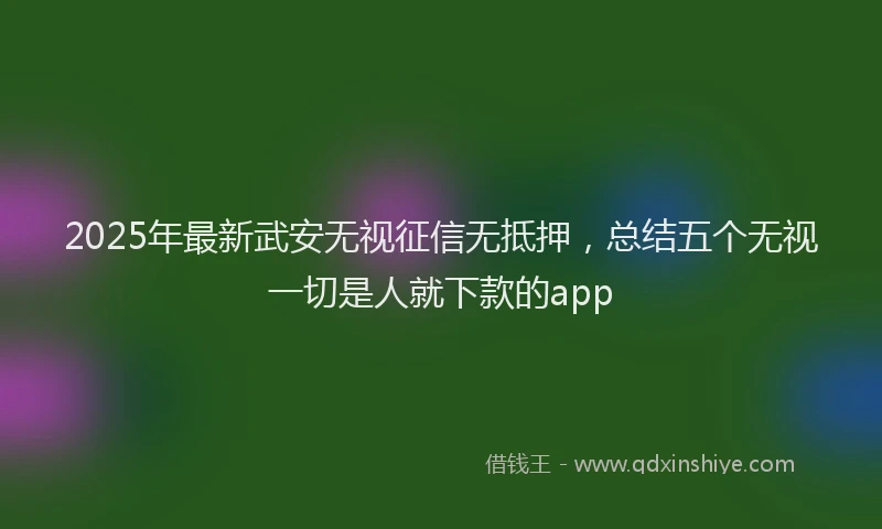 2025年最新武安无视征信无抵押，总结五个无视一切是人就下款的app
