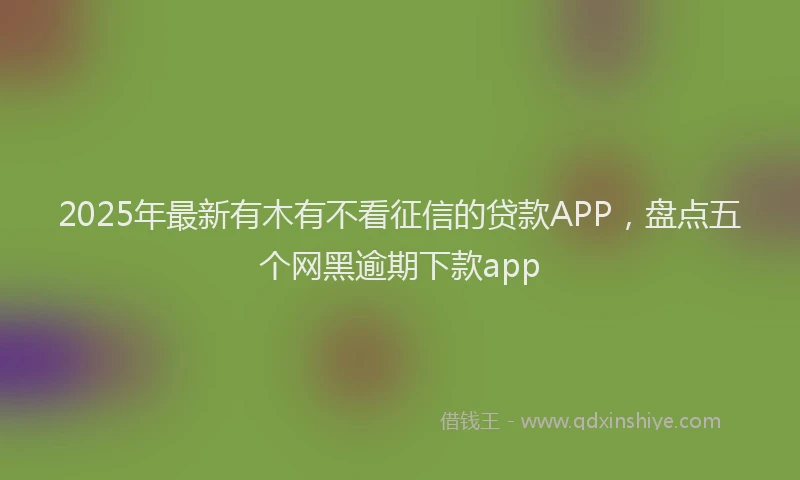 2025年最新有木有不看征信的贷款APP，盘点五个网黑逾期下款app