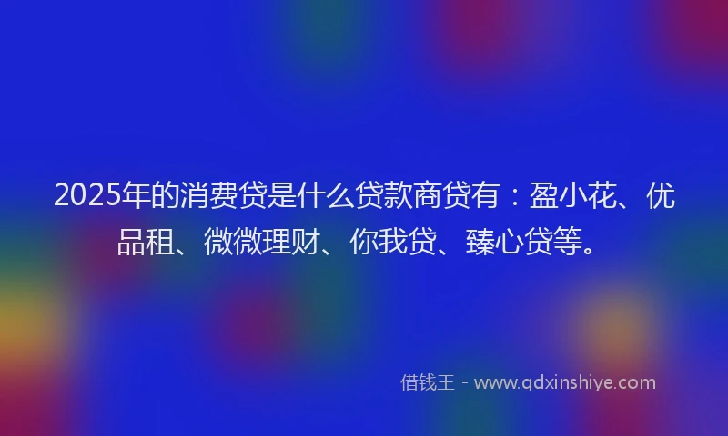 2025年的消费贷是什么贷款商贷有：盈小花、优品租、微微理财、你我贷、臻心贷等。