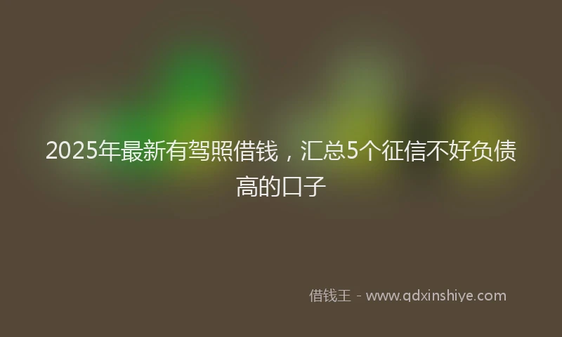 2025年最新有驾照借钱，汇总5个征信不好负债高的口子