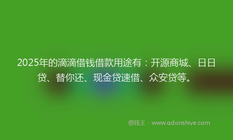 2025年的滴滴借钱借款用途有：开源商城、日日贷、替你还、现金贷速借、众安贷等。