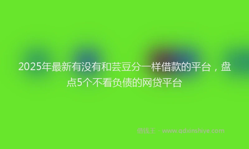 2025年最新有没有和芸豆分一样借款的平台，盘点5个不看负债的网贷平台