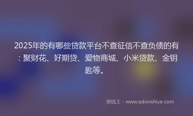 2025年的有哪些贷款平台不查征信不查负债的有：聚财花、好期贷、爱物商城、小米贷款、金钥匙等。